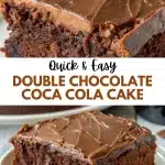 11 double chocolate coca cola cake 1