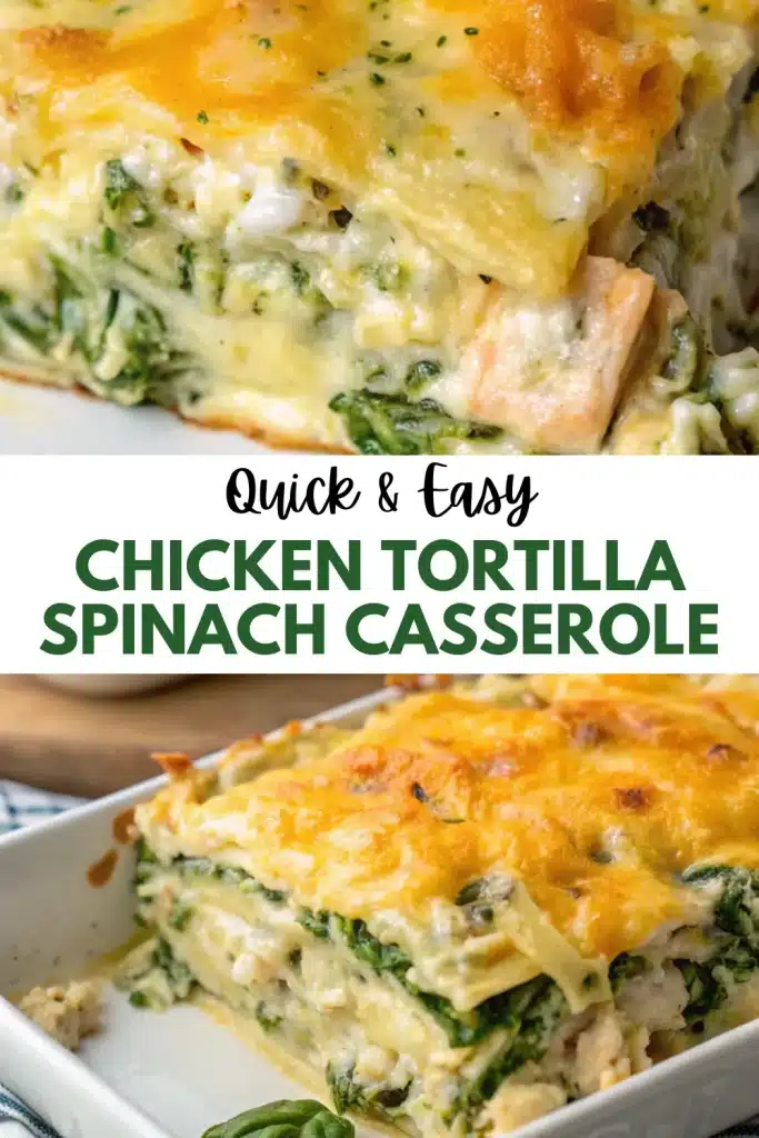 13 chicken tortilla spinach casserole 2