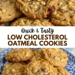 17 low cholesterol oatmeal cookies 1