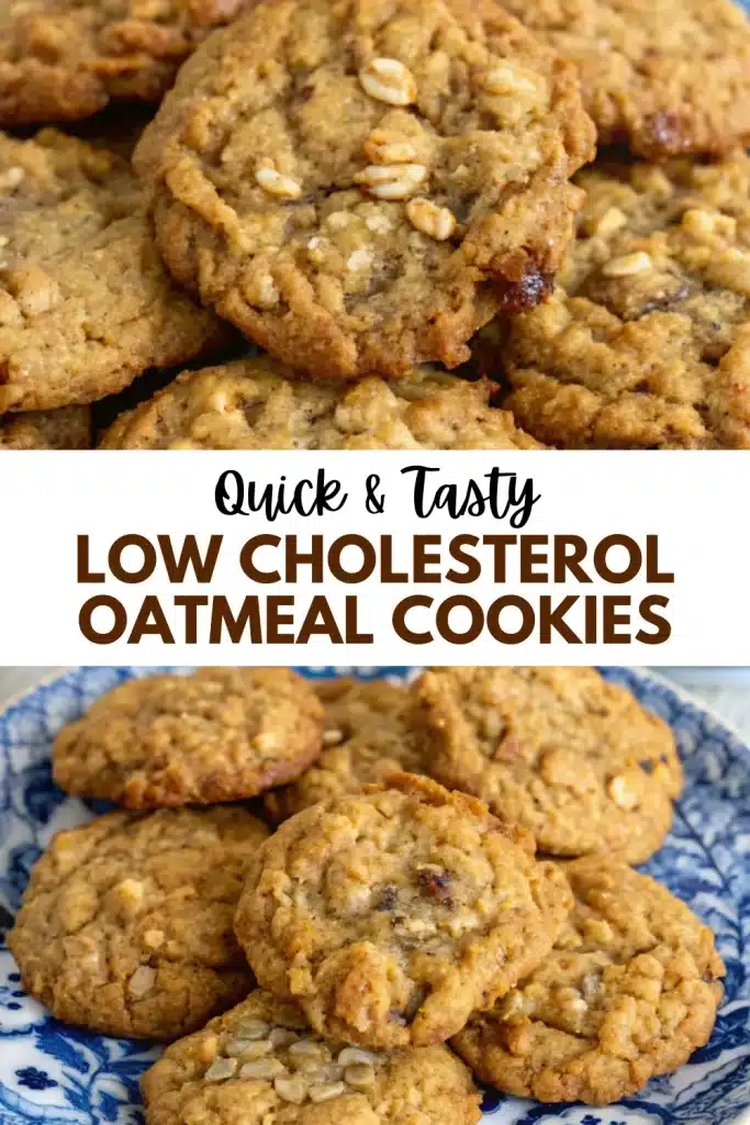 17 low cholesterol oatmeal cookies 1