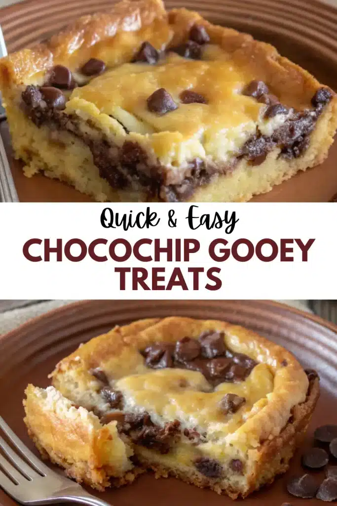 19 chocochip gooey treats 1