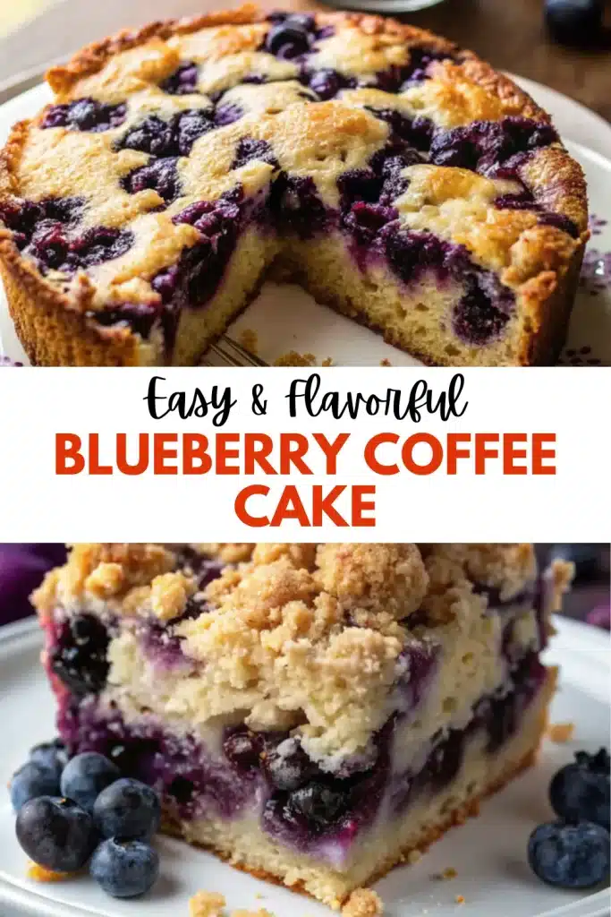 20 blue ribbon blueberry coffee cake 2