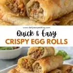 5 crispy egg rolls 2