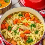 6 homestyle chicken noodle soup 1