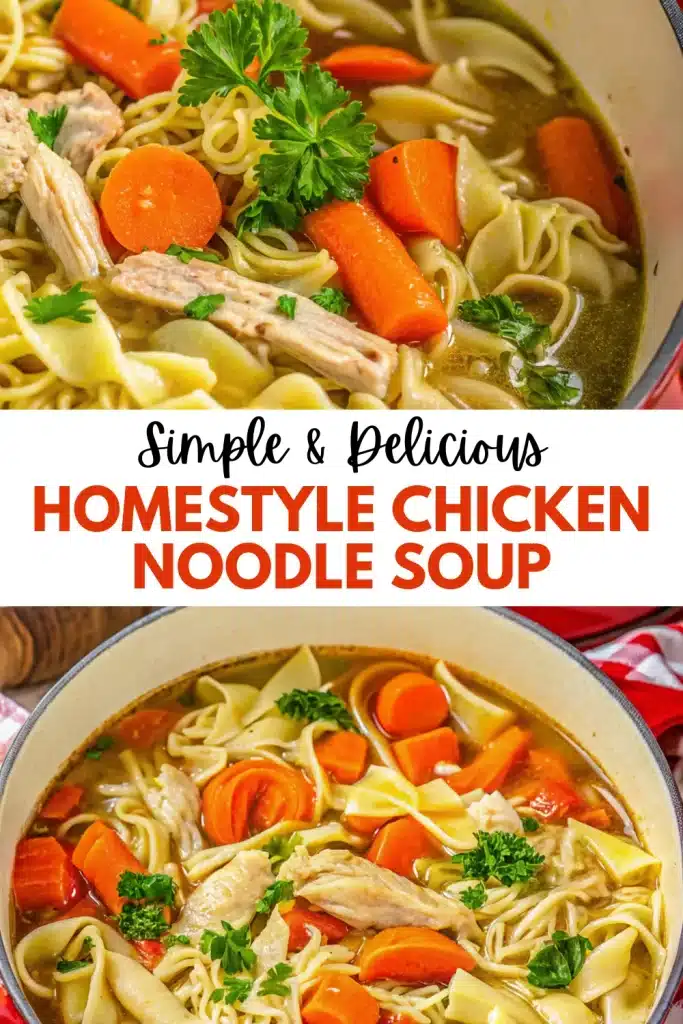 6 homestyle chicken noodle soup 2