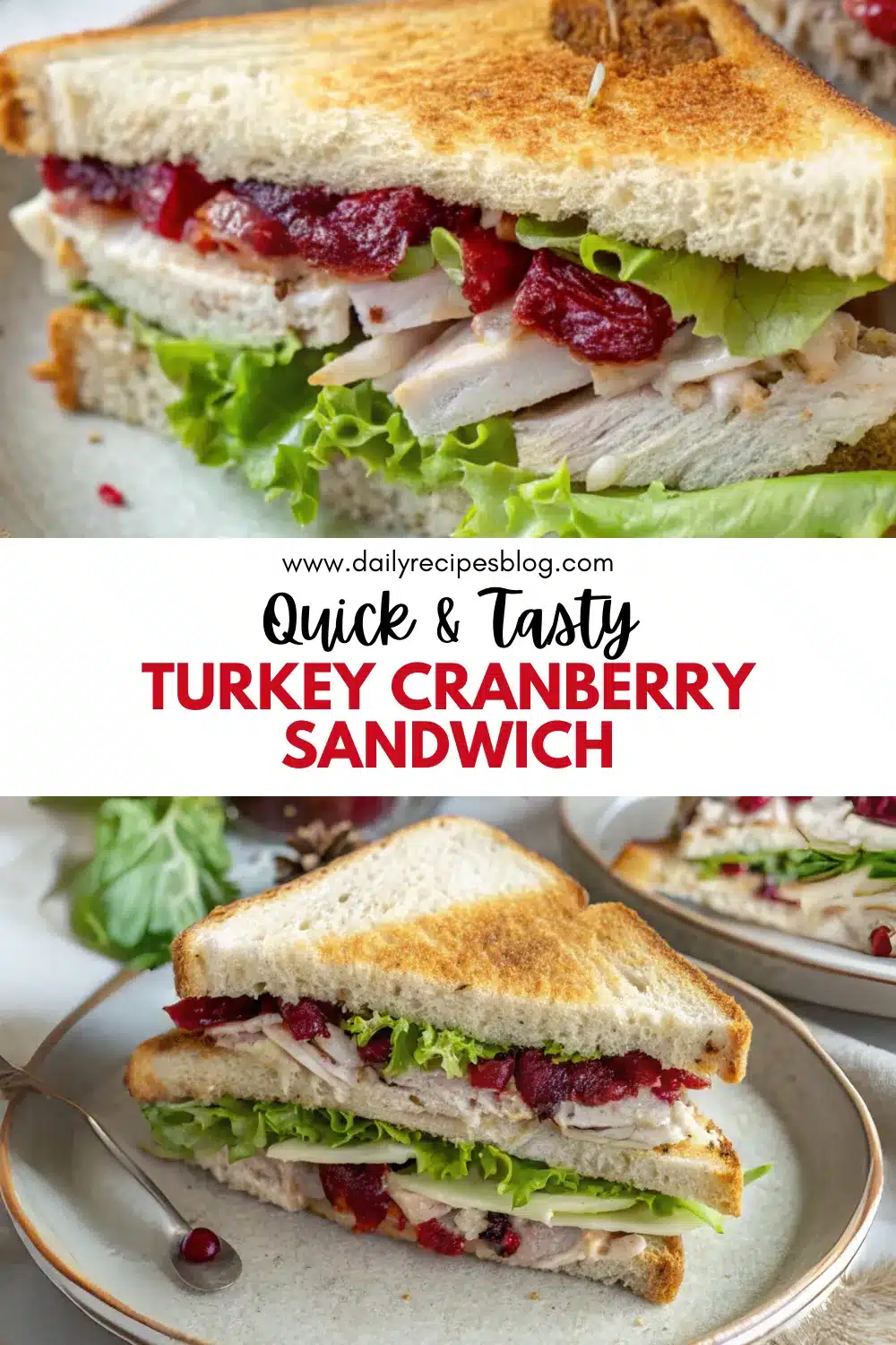 6 turkey cranberry sandwich 1