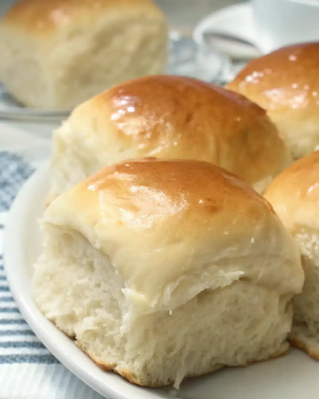 8 soft and buttery yeast rolls