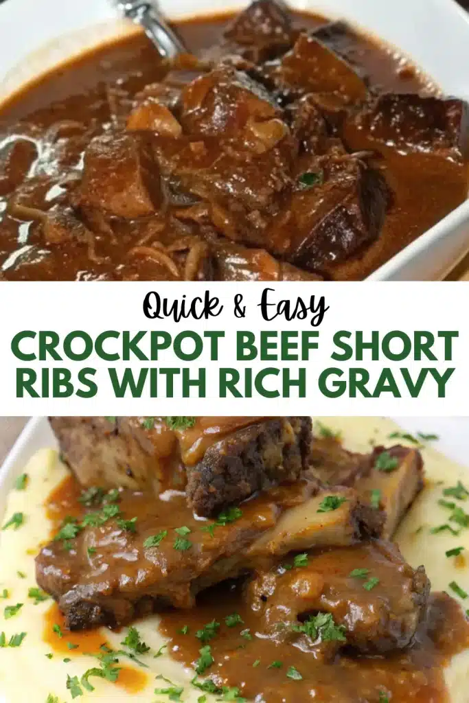 9 crockpot beef short ribs with rich gravy 2