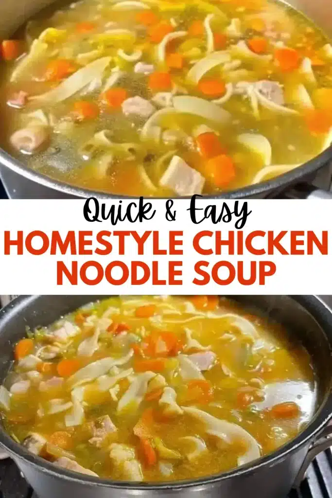 9 homestyle chicken noodle soup 2