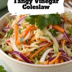 Tangy Vinegar Coleslaw pinterest