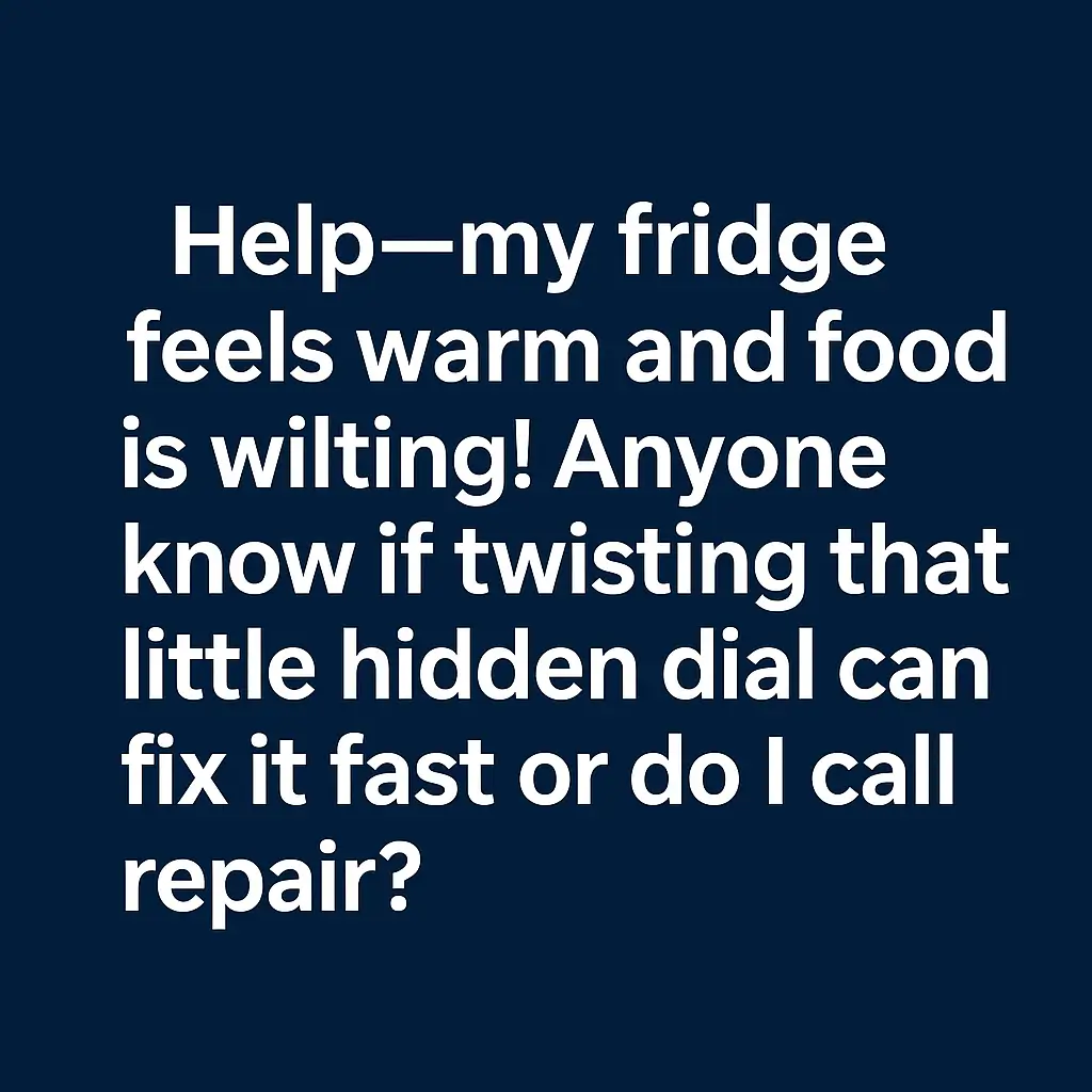 fridge