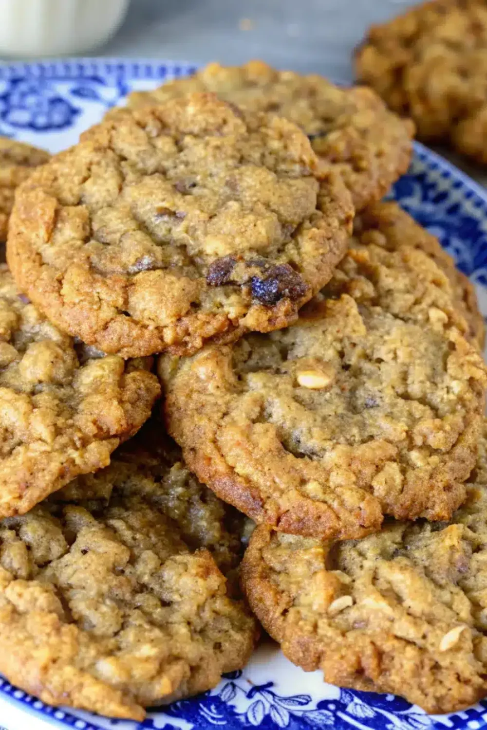 17 low cholesterol oatmeal cookies