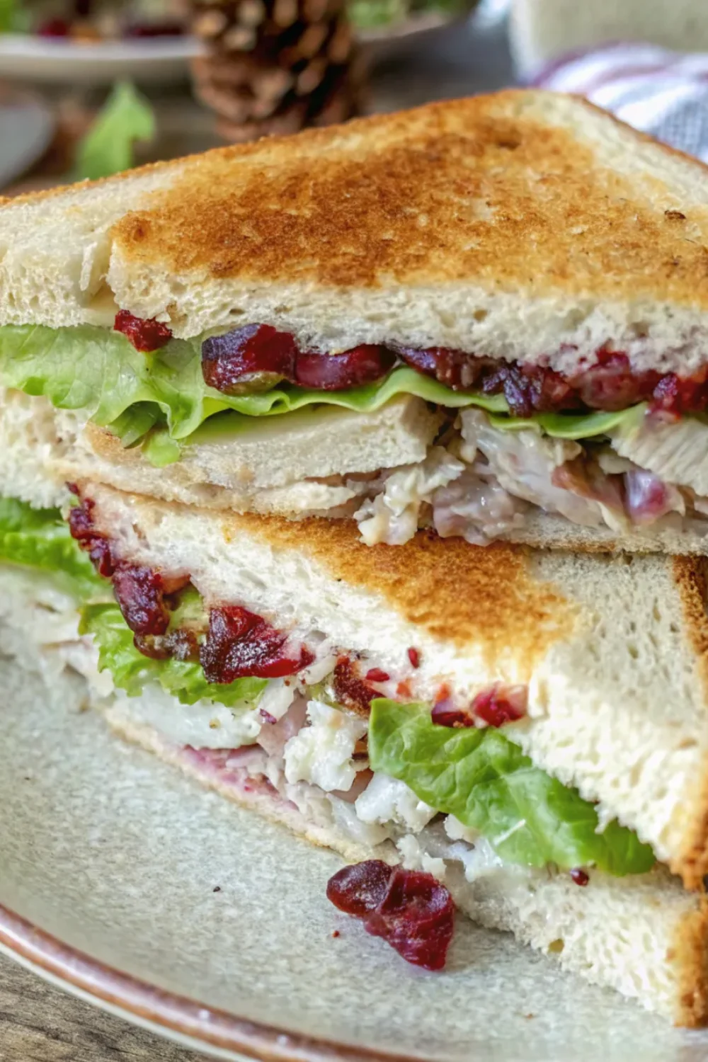 6 turkey cranberry sandwich