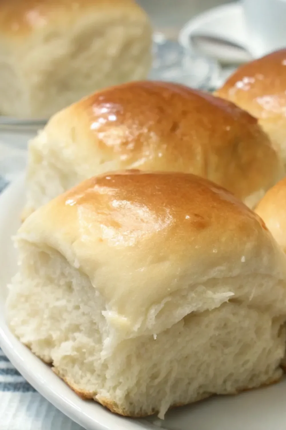 8 soft and buttery yeast rolls