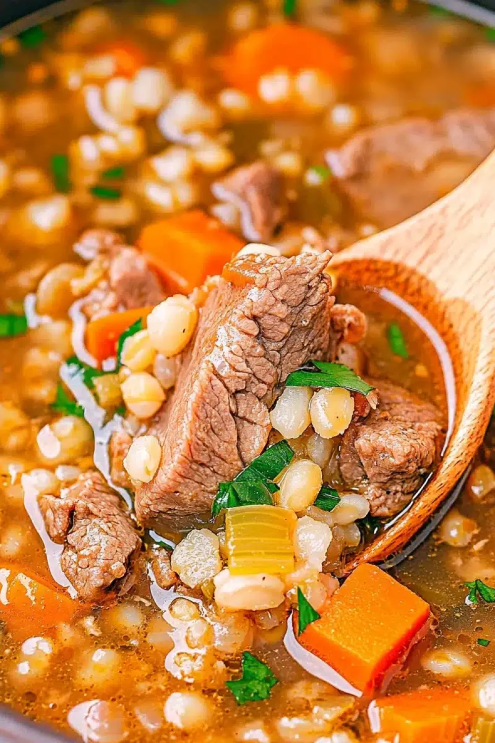 beef barley soup
