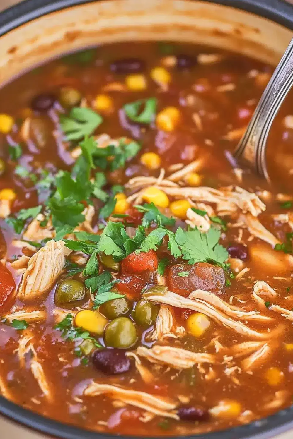 chicken tortilla soup