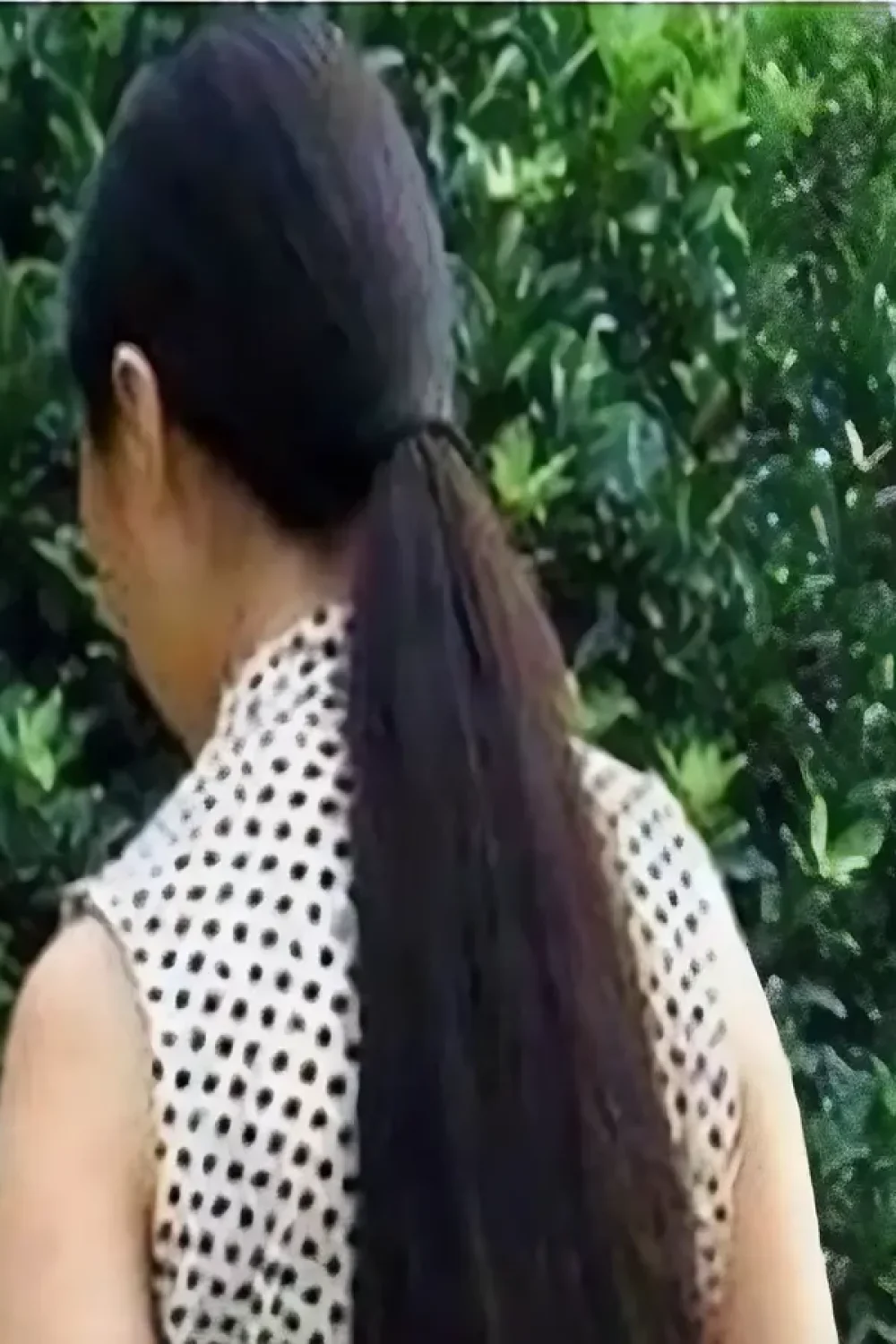 hairnocut