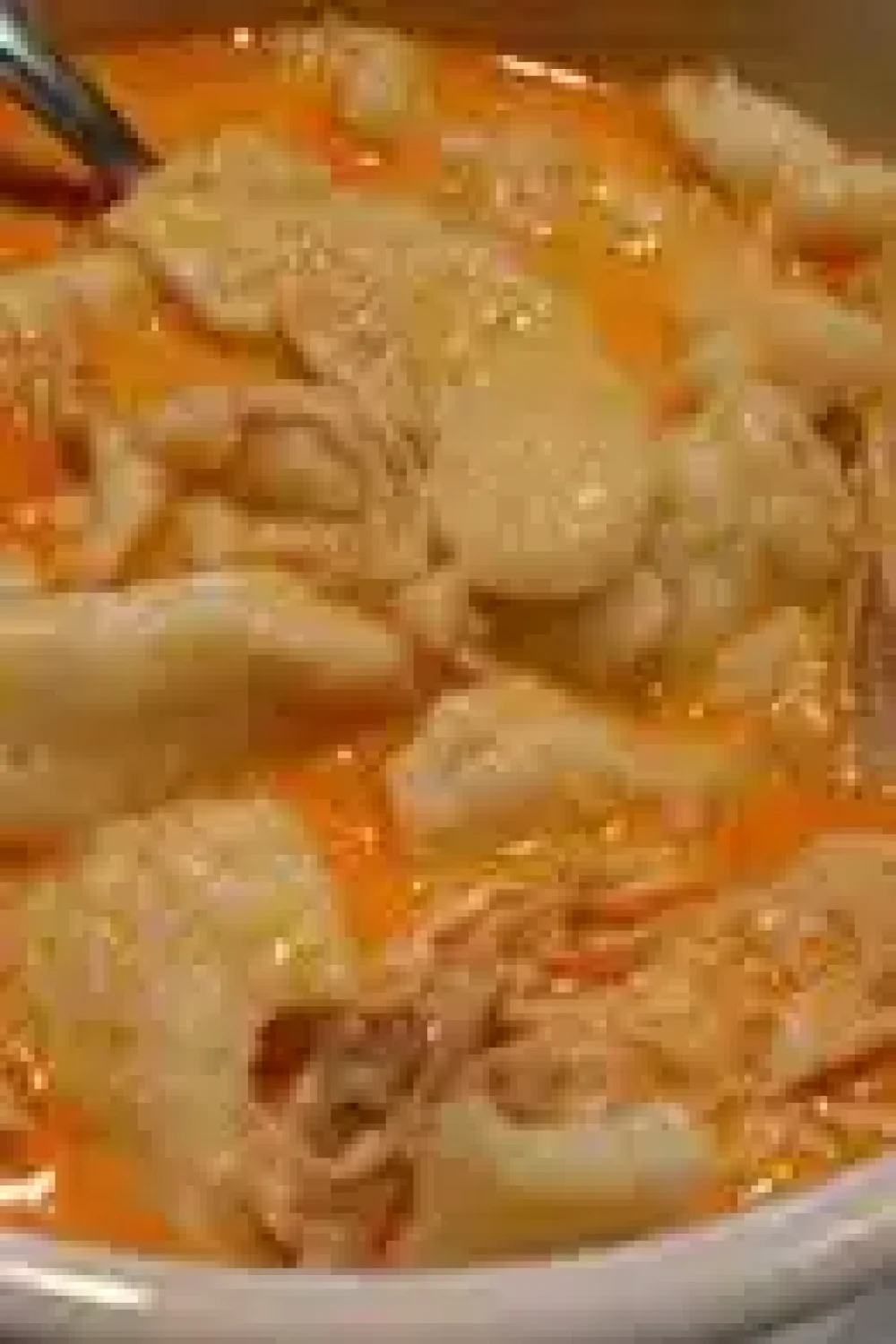 hungarian chicken paprikash 1