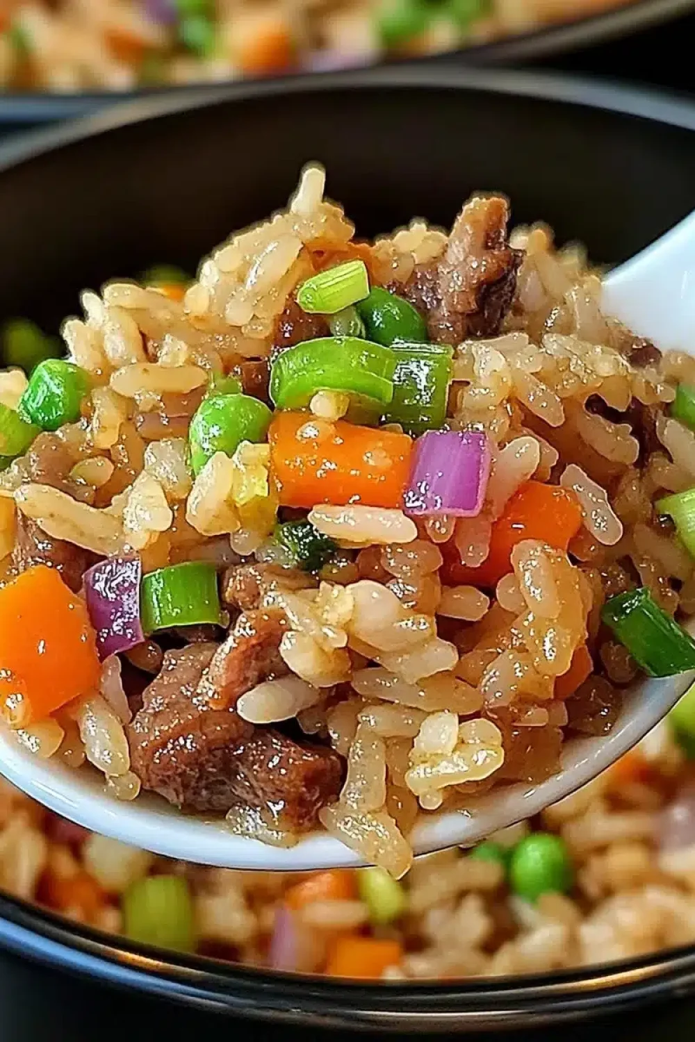onion beef fried rice recipe